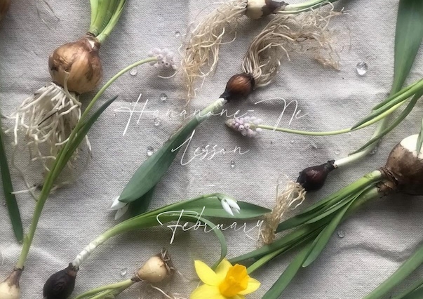 Hanano-Ne Lesson vol.1 in February